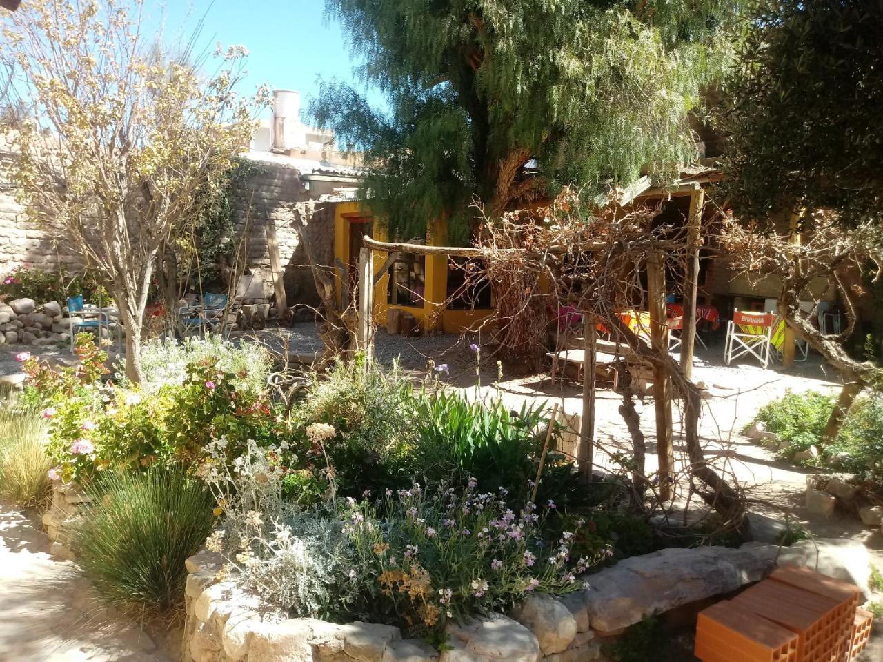 Andino Hostel Тилкара Екстериор снимка